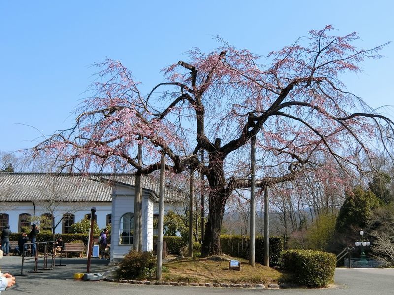 明治村・犬山